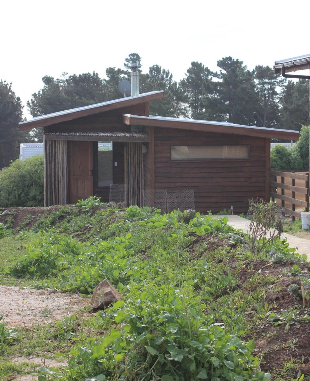 Cabanas Grulla Pichilemu Kültér fotó