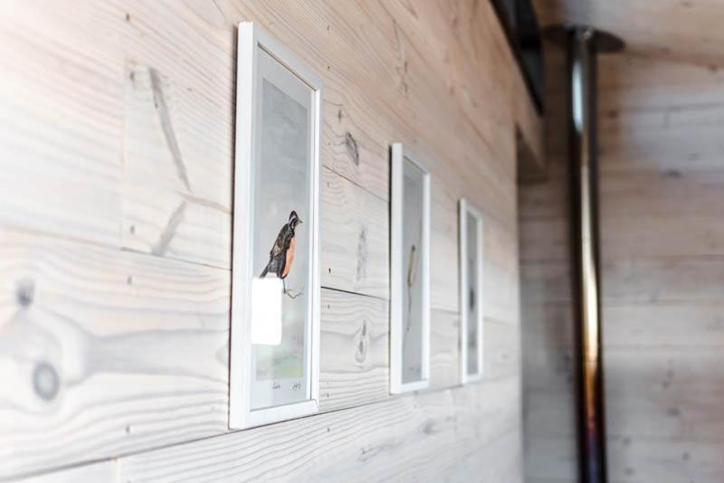 Cabanas Grulla Pichilemu Kültér fotó